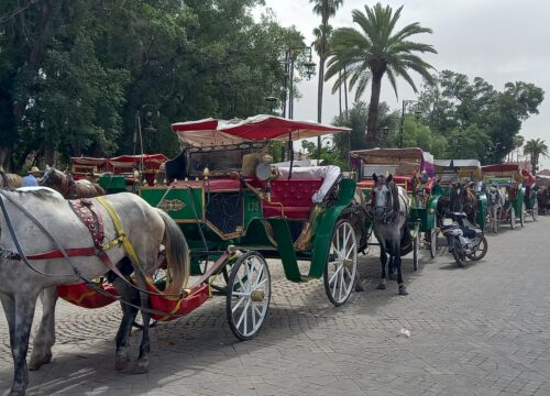 Half-Day Marrakech Souks Guided Walking Tour Of Marrakech