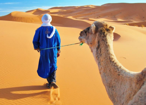 12 Days Desert Tour from Marrakech